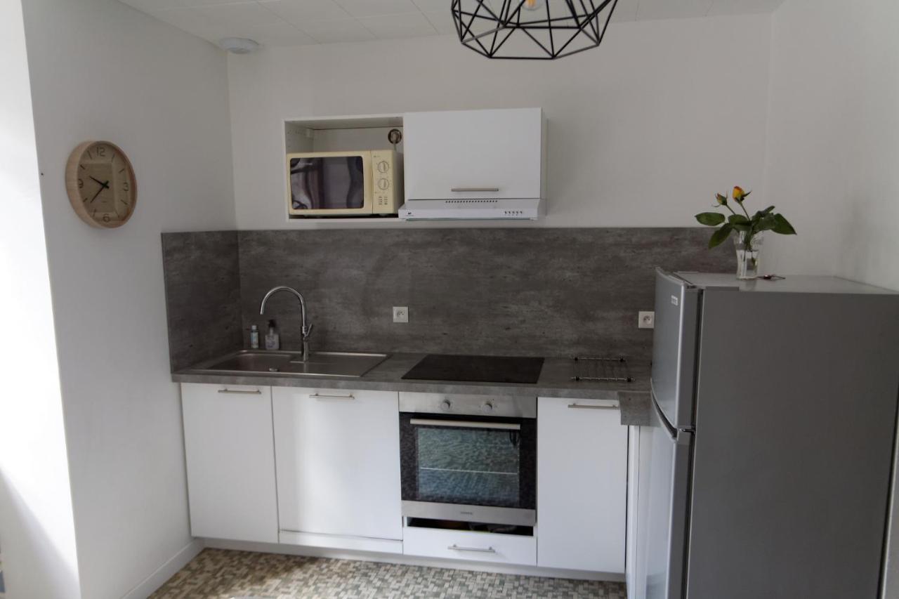 Villa Jean Julien - Le Sancy - Appartement T3 - 65M2 - 8 Personnes Le Mont-Dore Buitenkant foto